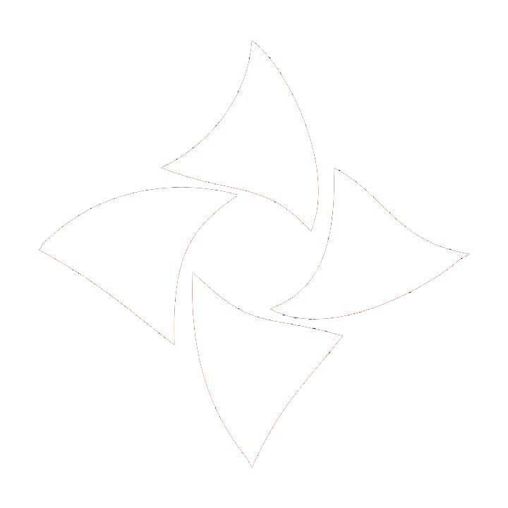 Lietuvos astronomų sąjungos logo